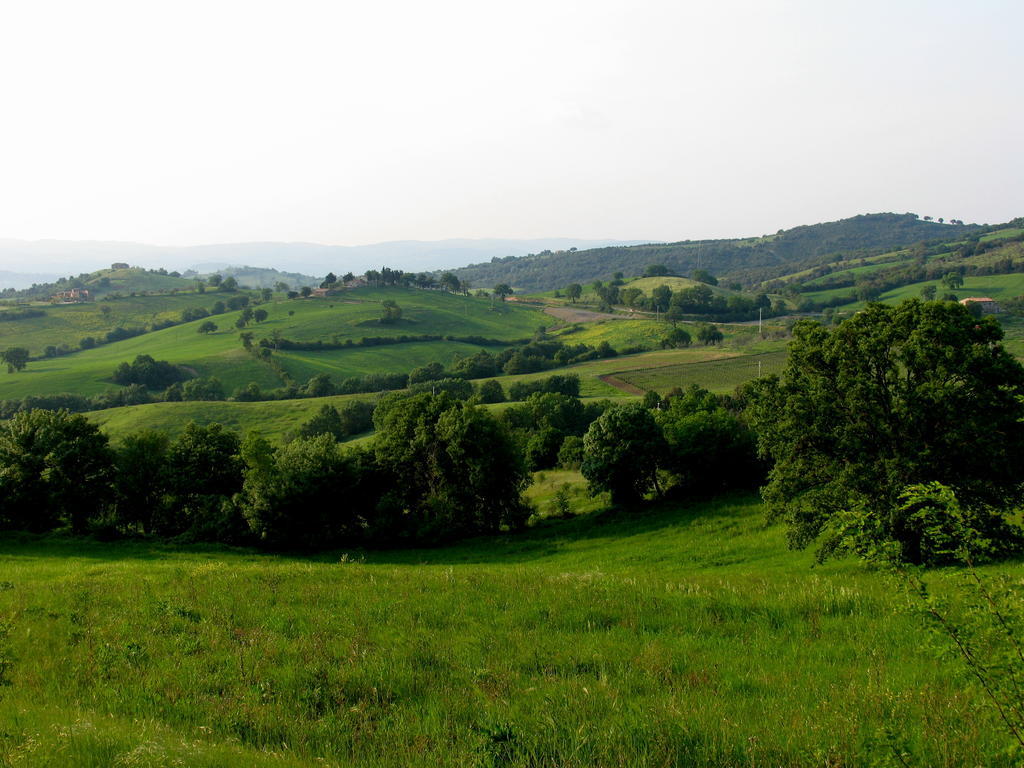 Poggio Della Quercia Vila Manciano Exterior foto